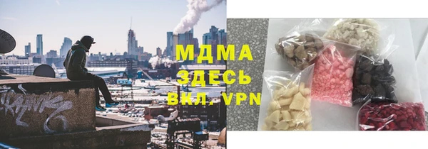 индика Белая Холуница