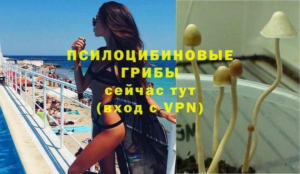 МДМА Новозыбков