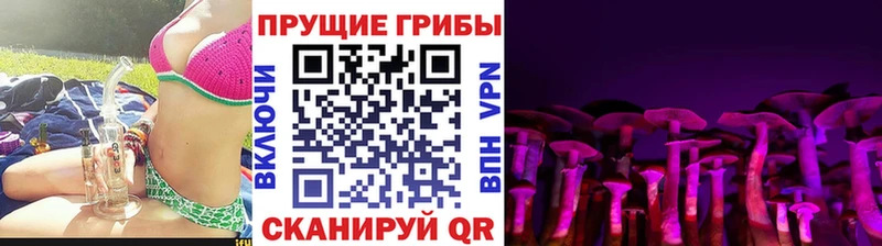 Псилоцибиновые грибы Psilocybe  Красновишерск 